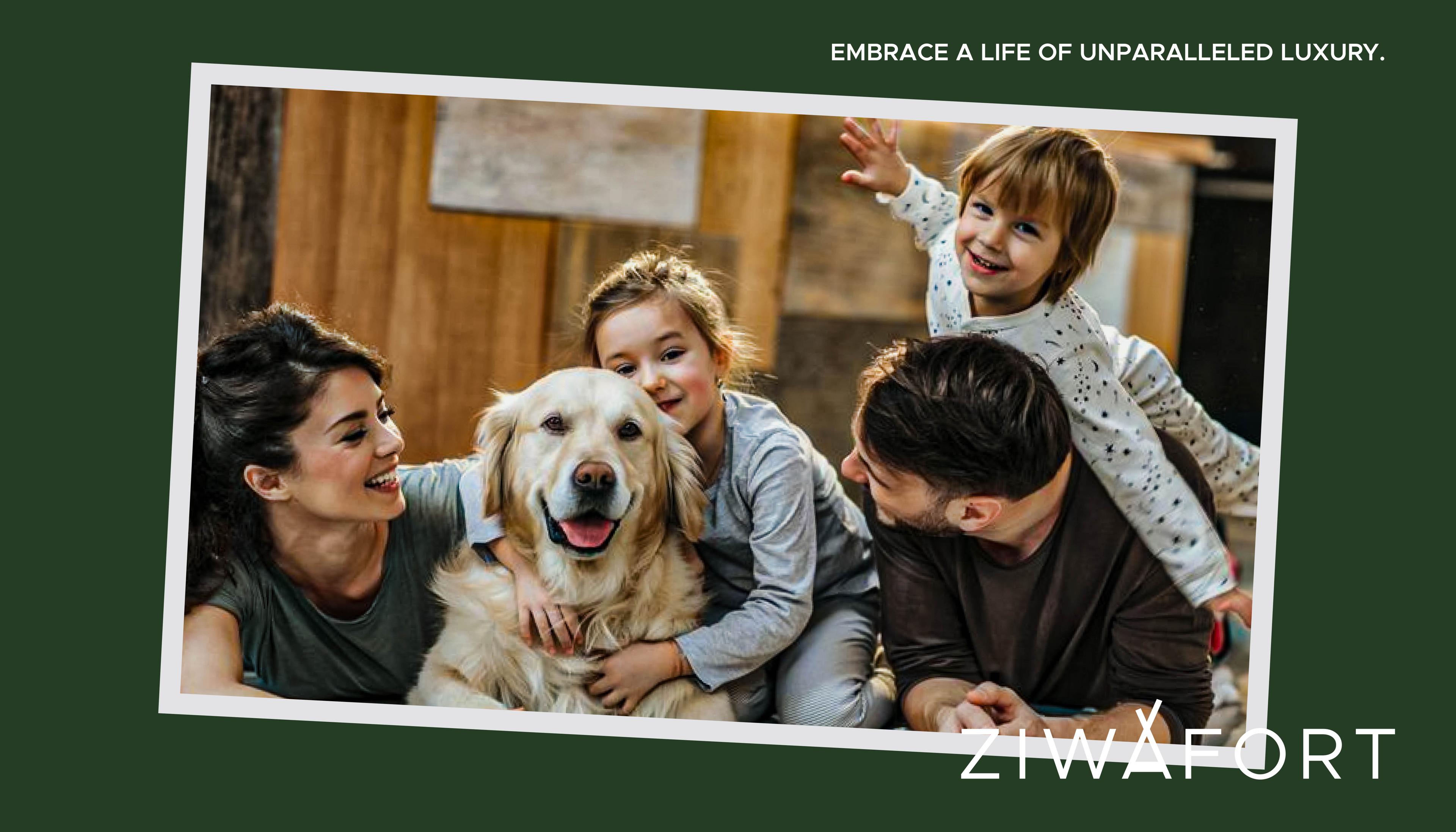 Ziwafort Branding, image 23